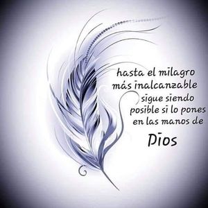 Meet your Posher, Rosy